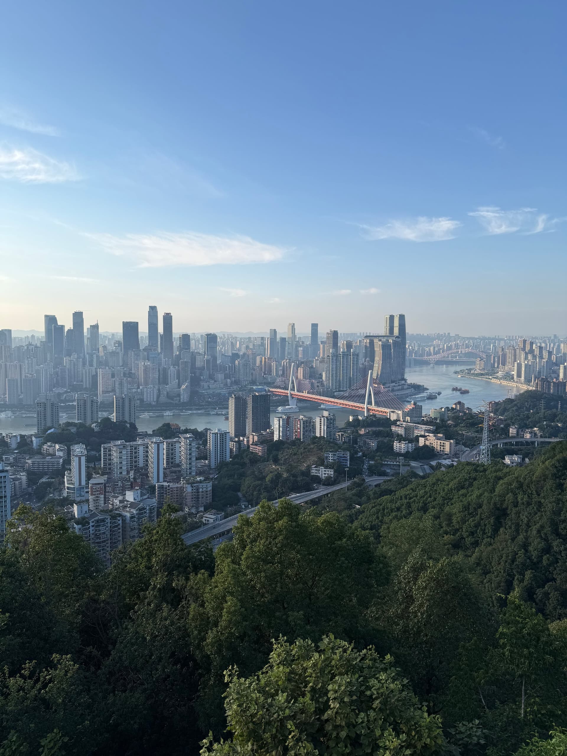 Vue panoramique sur la skyline de Chongqing depuis les hauteurs, forêt au premier plan et mur de gratte-ciel