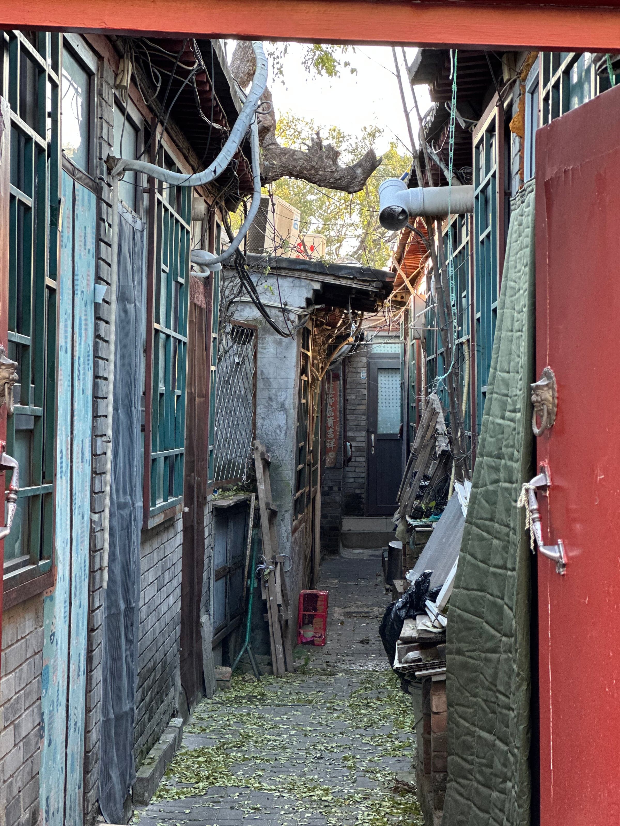 Vue par une porte rouge entrouverte sur l'intérieur d'une cour de hutong pékinois subdivisée, passage étroit entre des appentis de brique, tentures matelassées d'hiver, câbles électriques enchevêtrés et vieil arbre au-dessus des toits