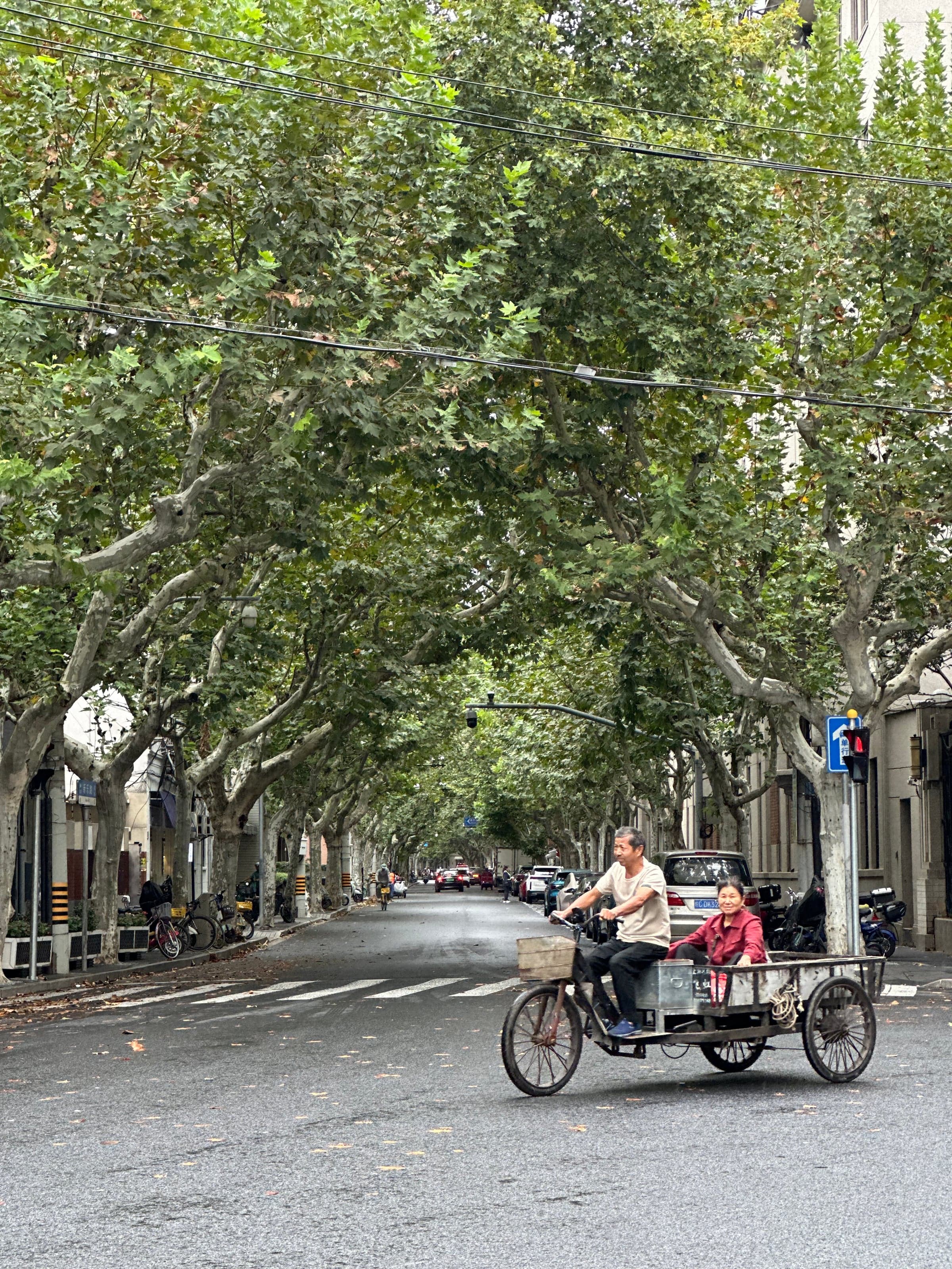 Rue bordée de platanes dans l'ancienne concession française de Shanghai, un triporteur de livraison avec conducteur et passager roulant sur la chaussée mouillée