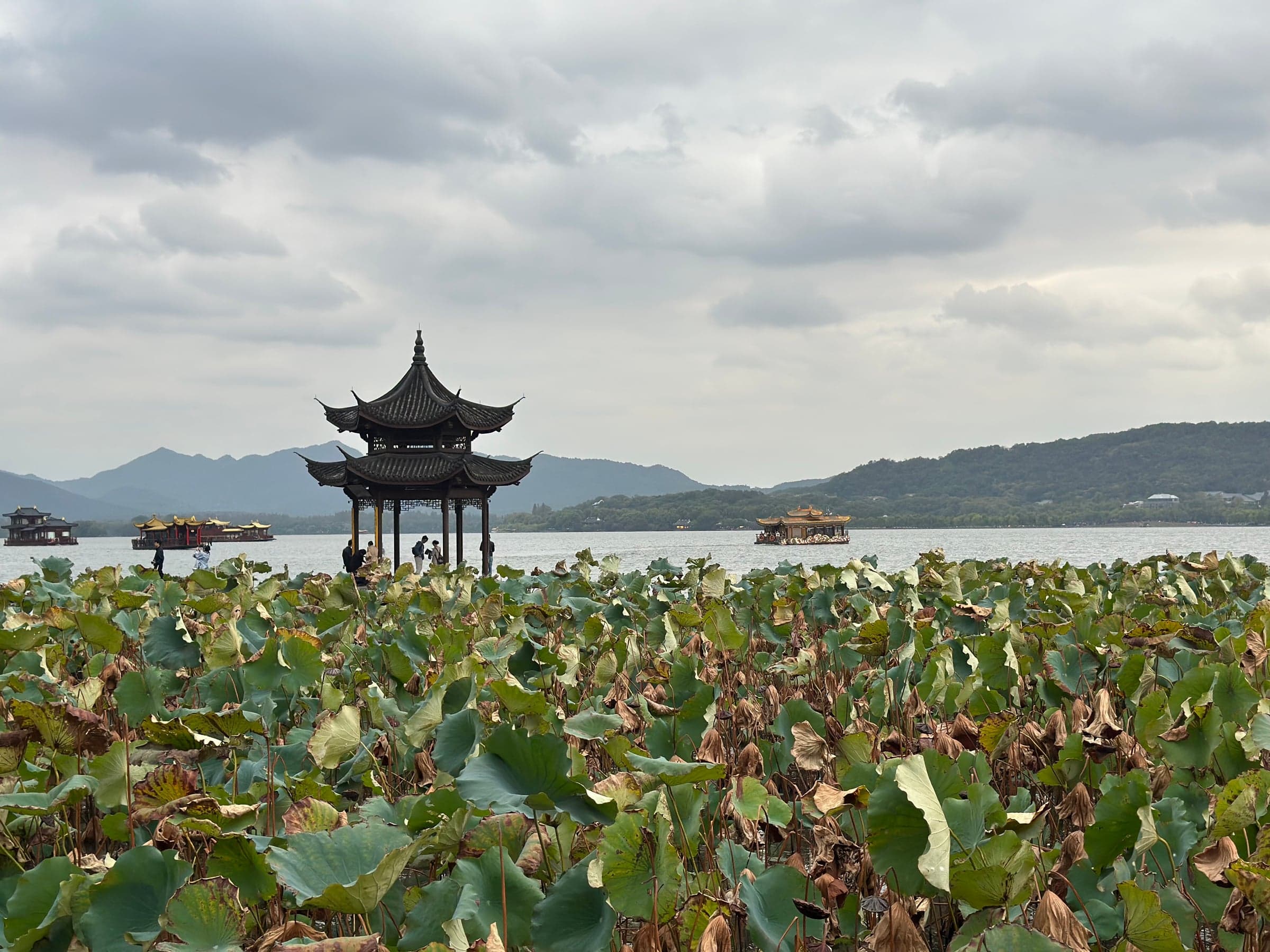Lac de l'Ouest (Xihu) à Hangzhou, pavillon traditionnel au bord de l'eau, lotus au premier plan, montagnes en arrière-plan