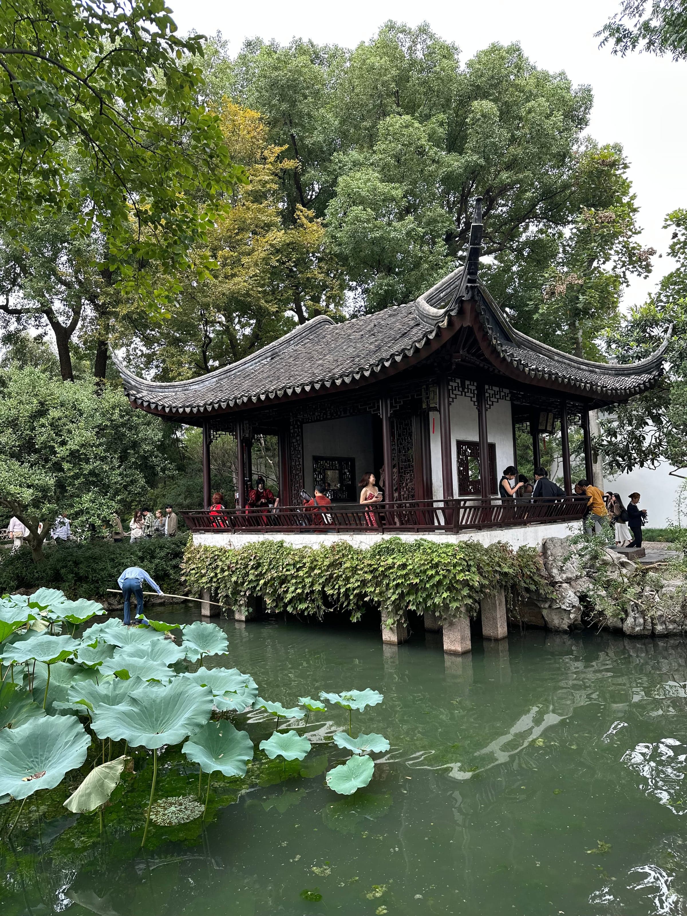 Pavillon traditionnel aux toits retroussés posé sur pilotis au-dessus d'un étang aux feuilles de lotus, jardin de l'Humble Administrateur à Suzhou, jardinier au travail sur la berge