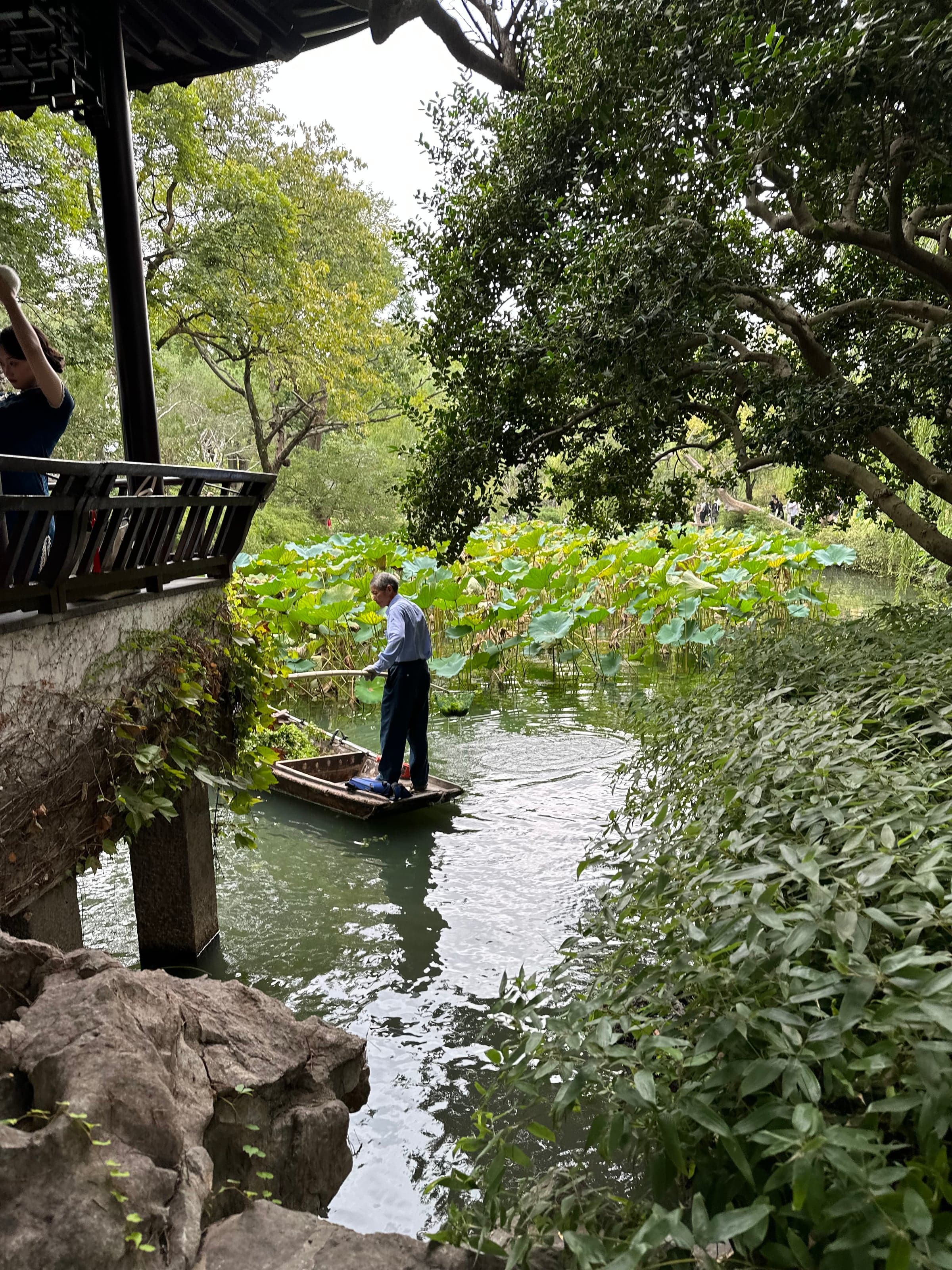 Barque menée à la perche traversant un étang de lotus dans un jardin de Suzhou, vue depuis sous l'avant-toit d'un pavillon, rochers au premier plan