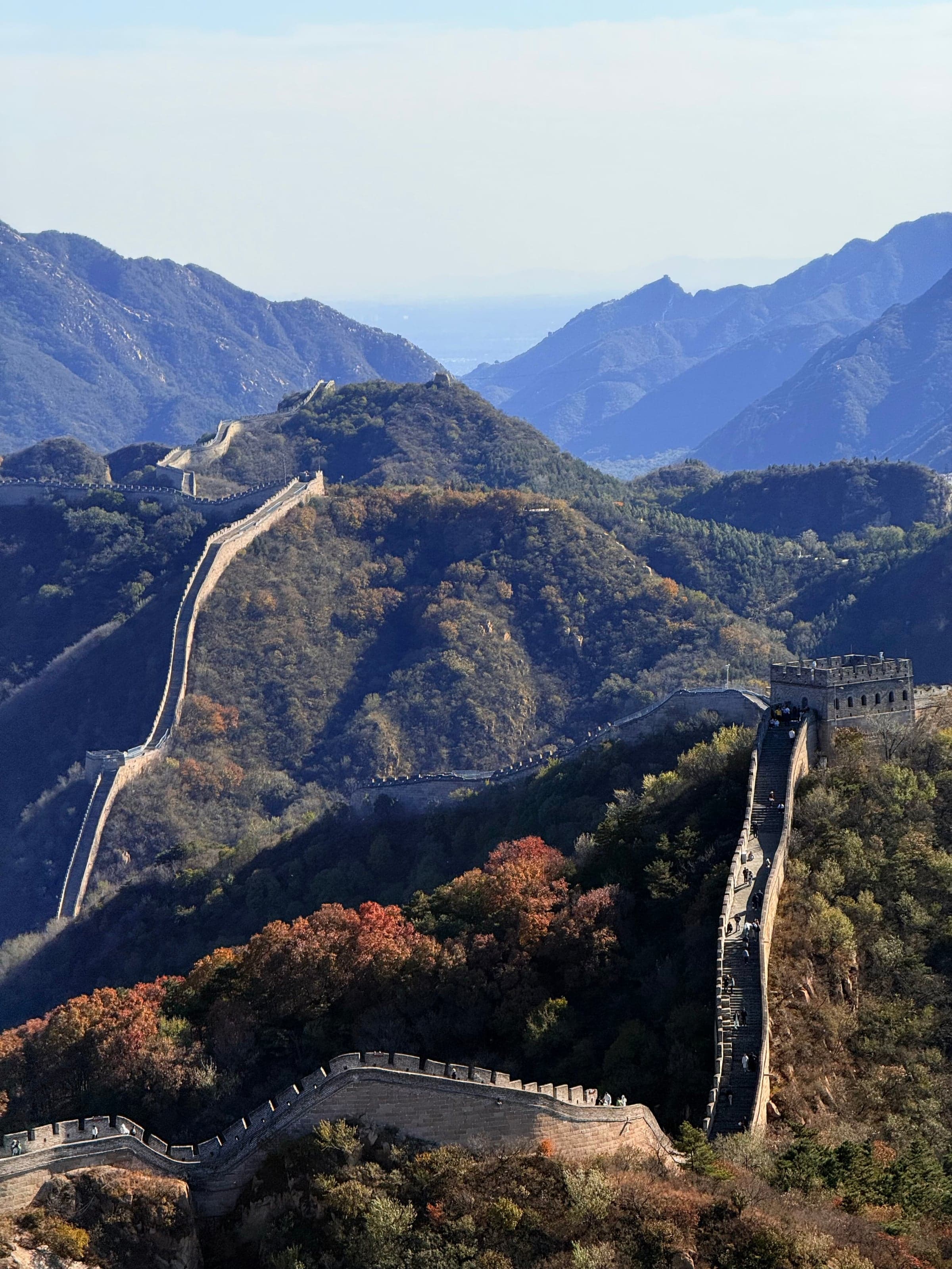 La Grande Muraille serpentant sur plusieurs crêtes successives entre les feuillages roux et verts de l'automne, vue plongeante depuis une tour à Badaling