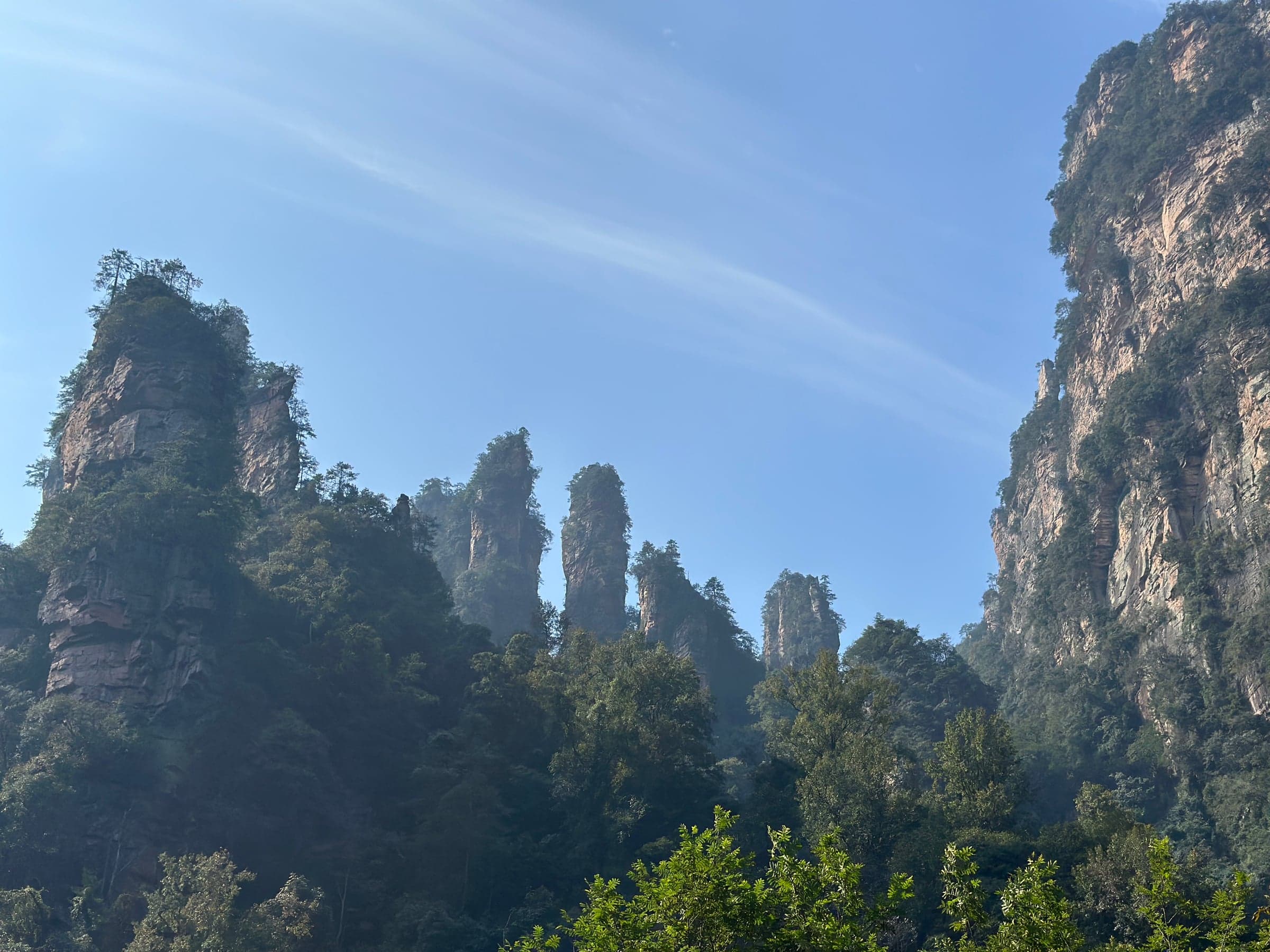 Forêt de pitons de grès du parc national de Zhangjiajie (Wulingyuan) émergeant d'une végétation dense sous un ciel bleu, les sommets qui ont inspiré les montagnes flottantes d'Avatar