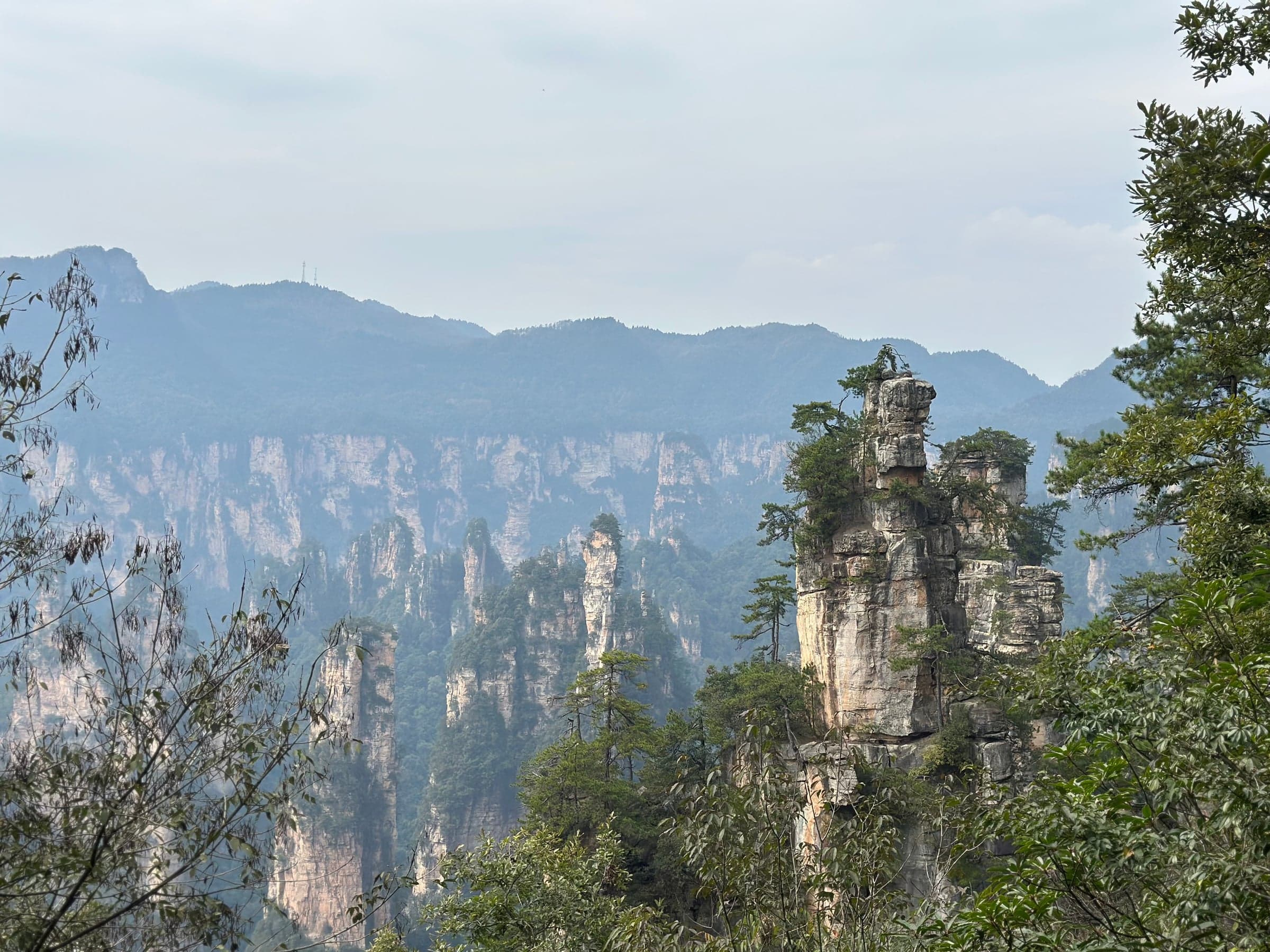 Étendue de pitons de grès s'échelonnant jusqu'à l'horizon dans une brume légère, cimes d'arbres au premier plan