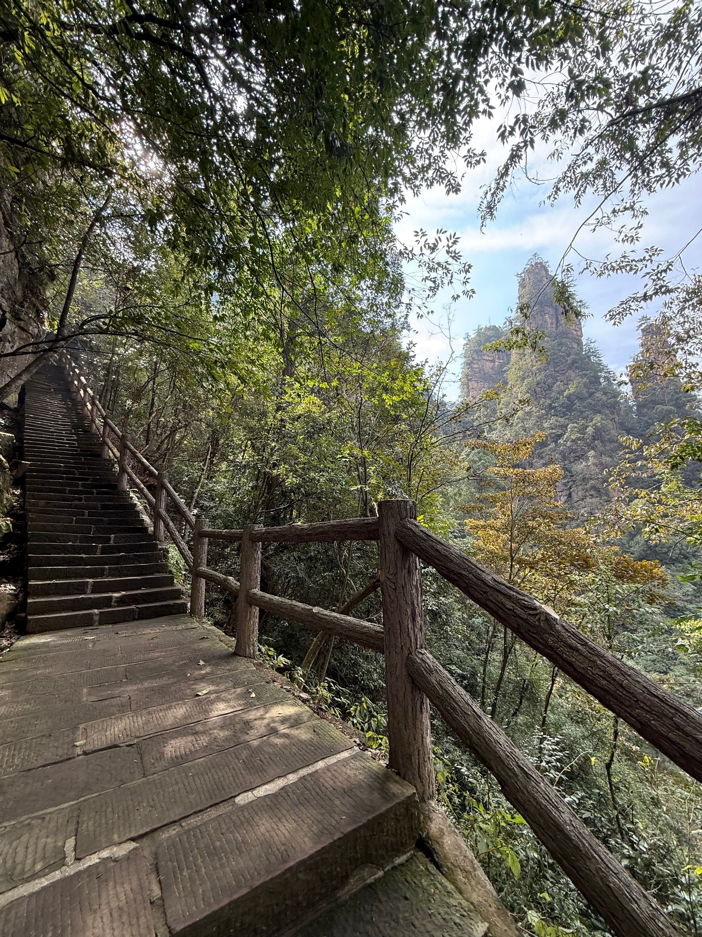 Escalier de pierre à rampe de bois montant dans la forêt à Zhangjiajie, pitons visibles entre les arbres