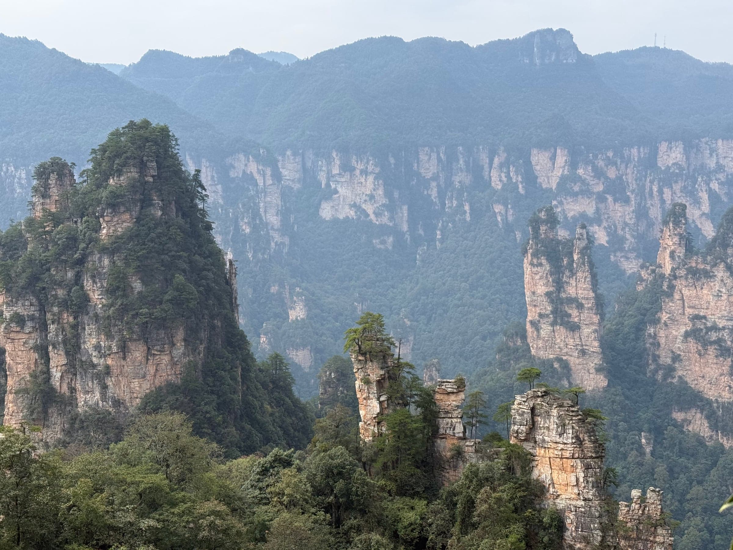 Piton de grès isolé coiffé de végétation se détachant devant une longue barre rocheuse boisée, dans une brume légère