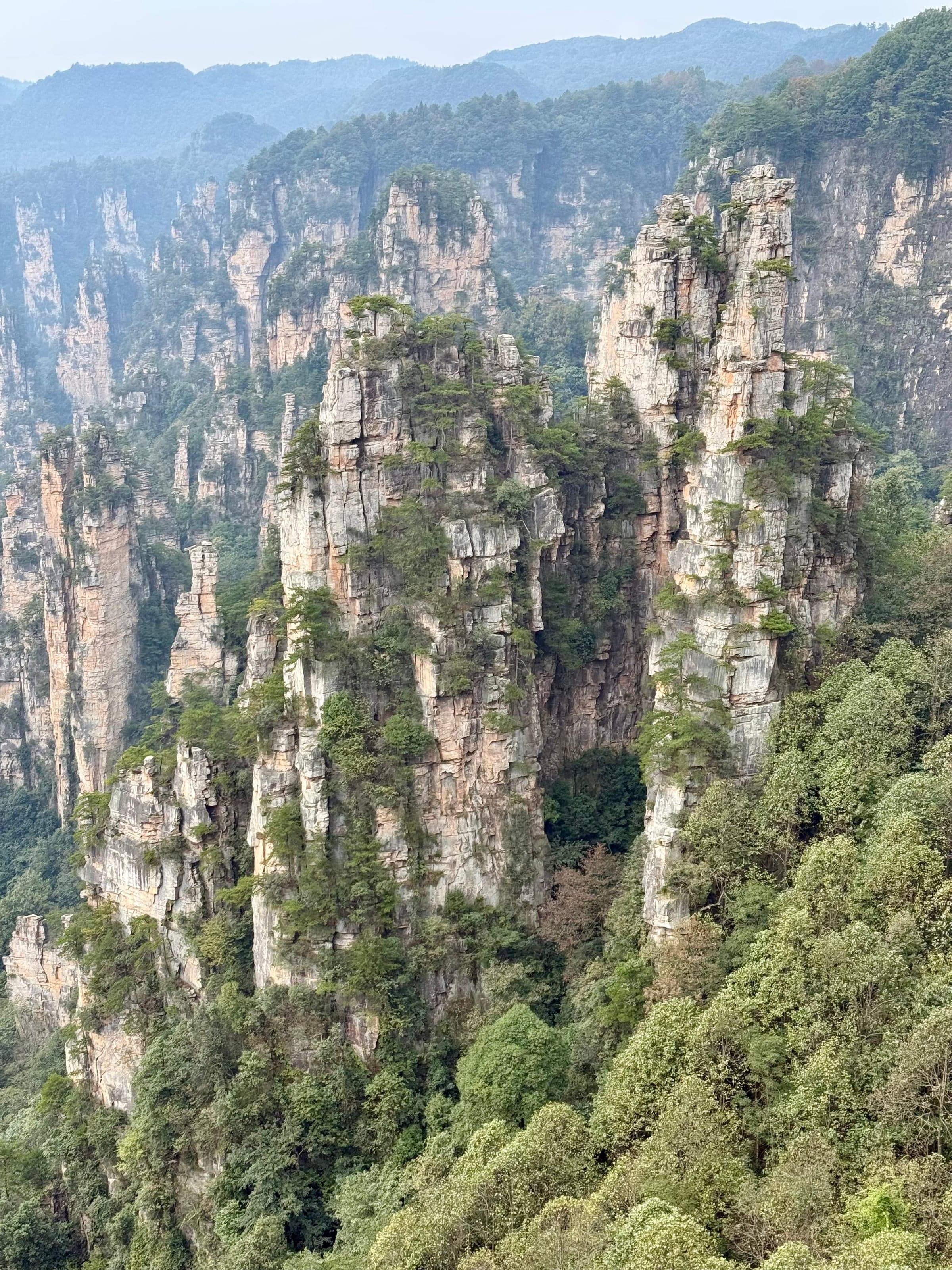 Piliers de grès de Wulingyuan alignés en profondeur dans la brume, sommets couverts de pins