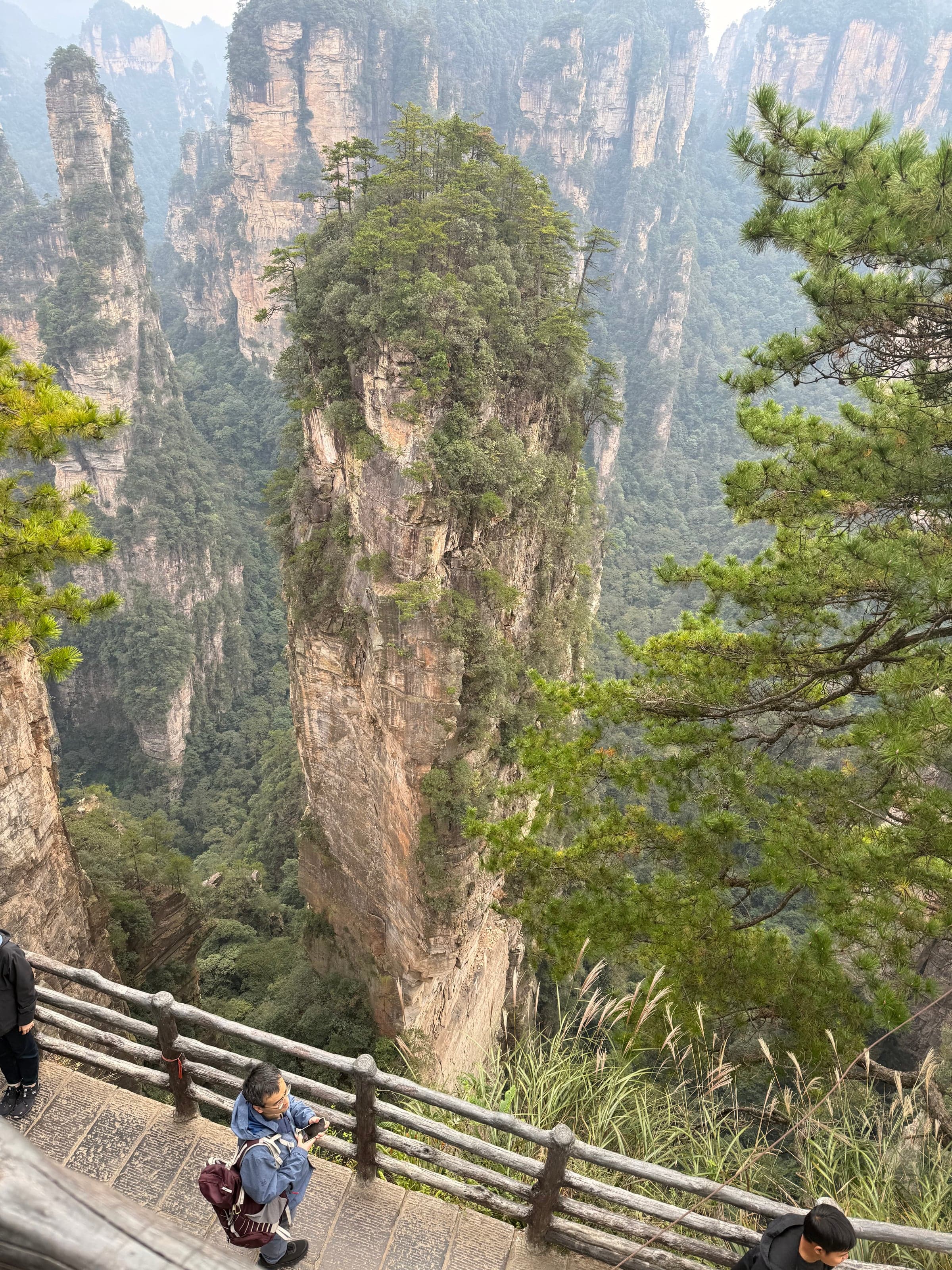 Rambarde de bois d'un belvédère à Zhangjiajie avec une personne accroupie pour photographier, grand piton couvert de pins juste en face
