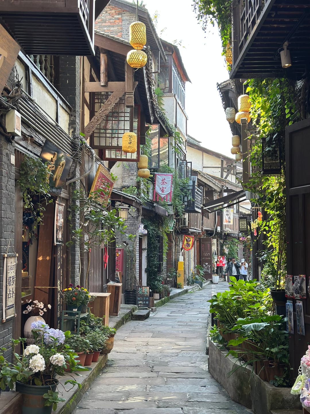 Ruelle en escaliers avec terrasses de restaurants, plantes et lanternes suspendues dans un quartier de Chongqing
