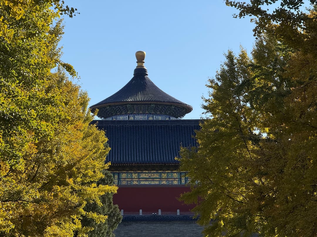Toiture ronde de tuiles bleues vernissées coiffée d'un épi doré, émergeant entre deux ginkgos aux feuilles jaune vif, au-dessus d'un mur rouge, sous un ciel bleu