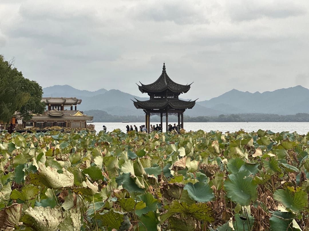 Pavillon traditionnel noir au bord du lac de l'Ouest à Hangzhou, champ de lotus au premier plan, collines en arrière-plan sous un ciel couvert