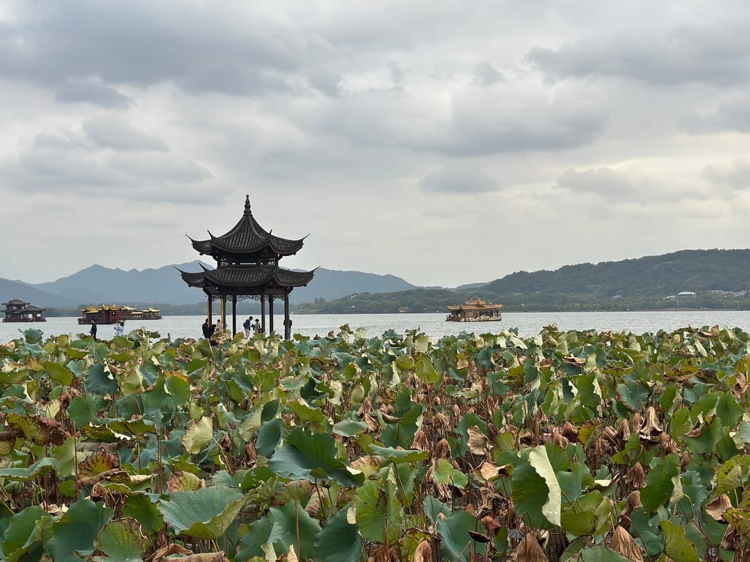 Étendue de feuilles de lotus brunissantes sur le lac de l'Ouest, un pavillon et des barques au loin sous un ciel gris