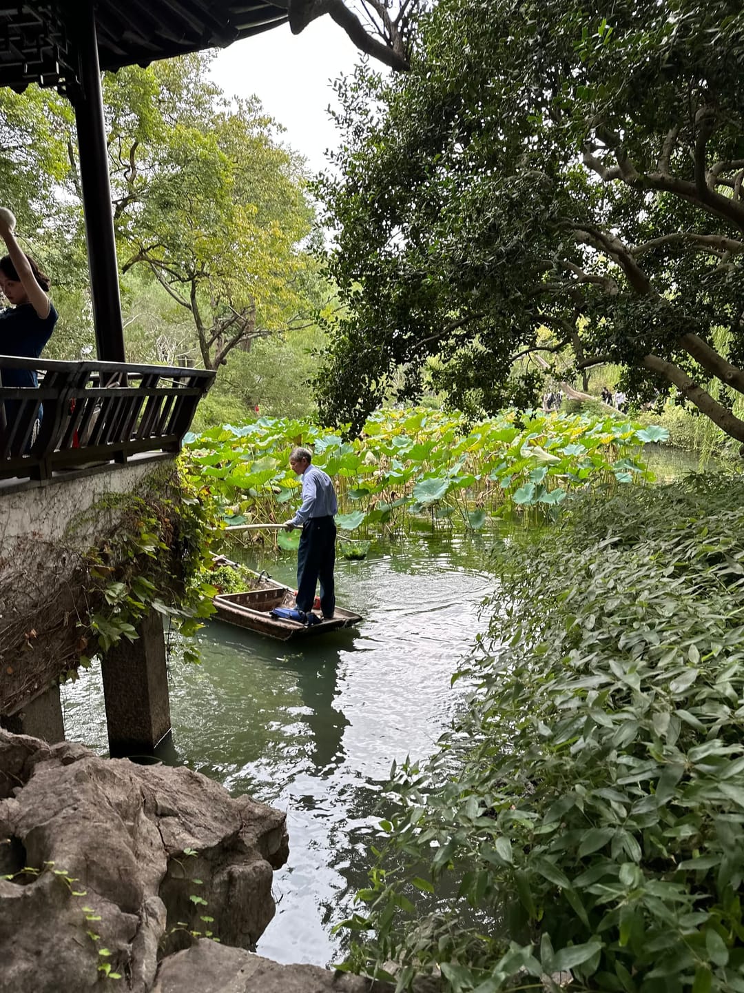 Barque menée à la perche traversant un étang de lotus dans un jardin de Suzhou, vue depuis sous l'avant-toit d'un pavillon, rochers au premier plan