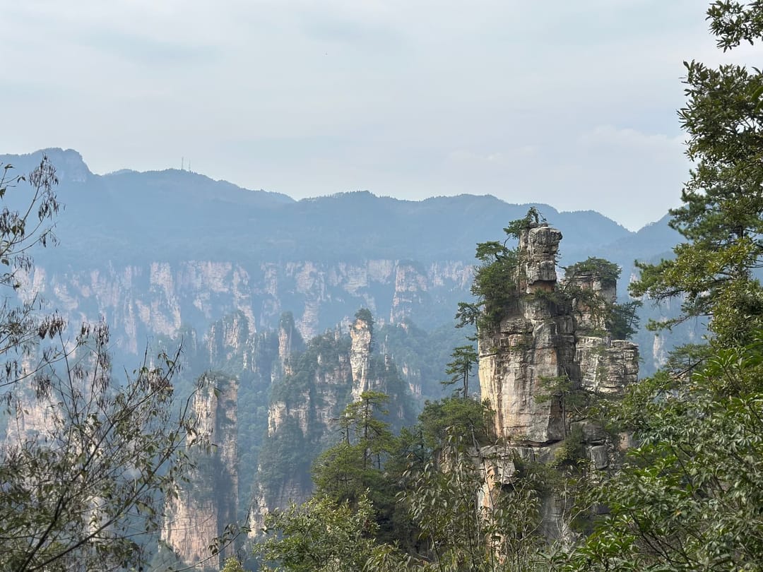 Étendue de pitons de grès s'échelonnant jusqu'à l'horizon dans une brume légère, cimes d'arbres au premier plan