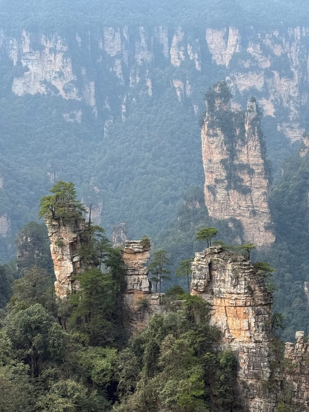 Piliers de grès verticaux aux arêtes nettes, coiffés de pins, se détachant sous un ciel clair au-dessus d'une vallée boisée