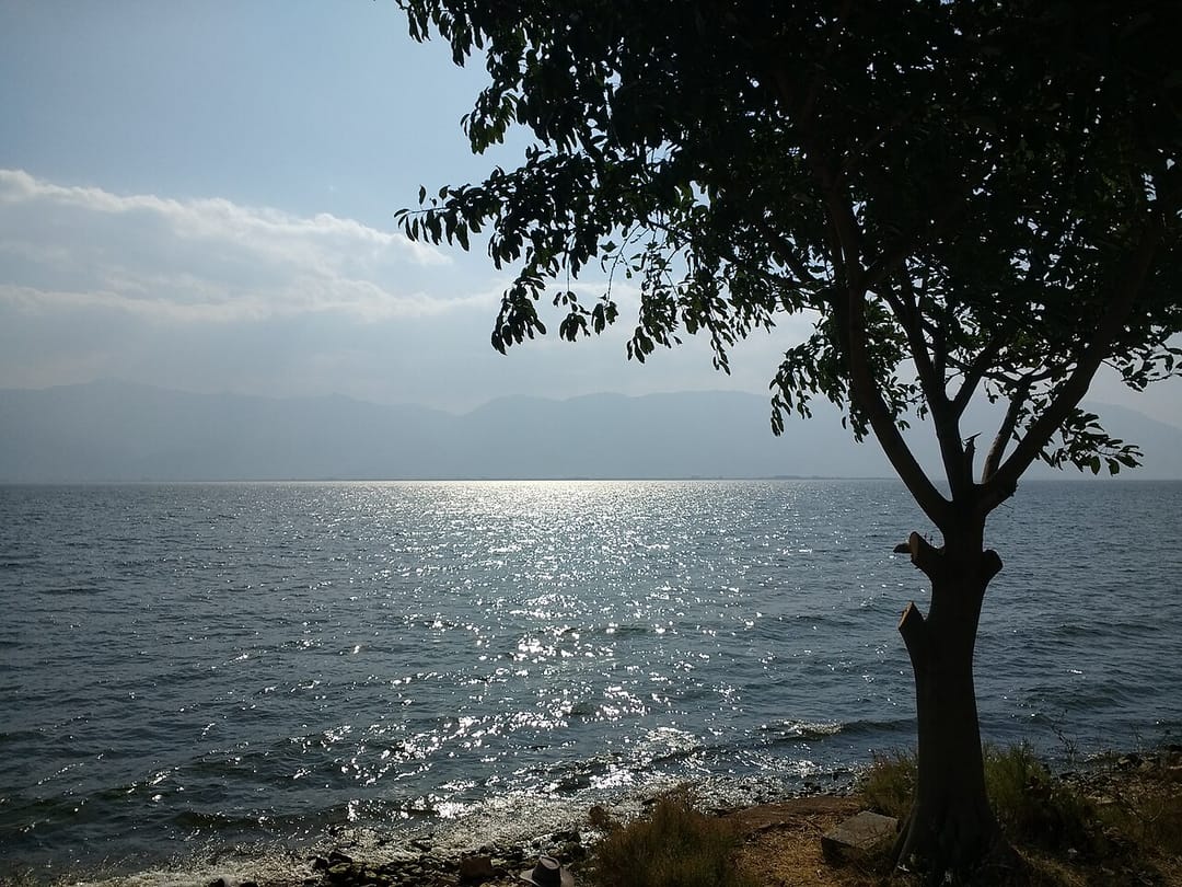 Rive du lac Erhai à contre-jour : un arbre au tronc clair se détache au premier plan à droite, le soleil scintille sur l'eau ridée, et une ligne de montagnes bleutées ferme l'horizon de l'autre côté du lac
