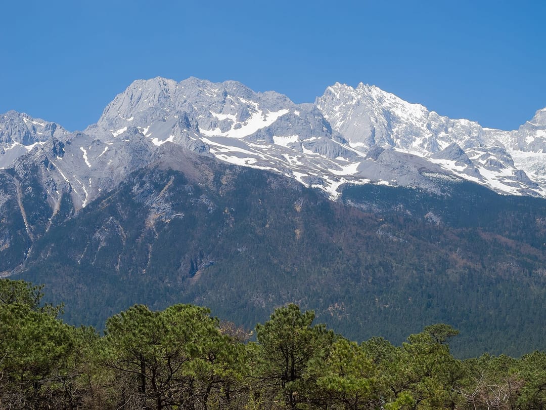 La crête enneigée du Yulong Xueshan, montagne du Dragon de Jade, sous un ciel bleu vif, avec un versant boisé de pins sombres au premier plan au-dessus de la vallée de Lijiang