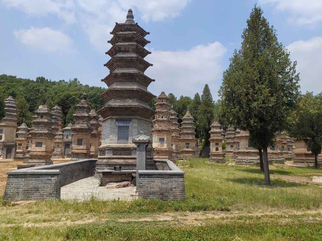 La forêt de pagodes de Shaolin : des dizaines de pagodes funéraires en brique de tailles inégales dressées dans une prairie, cyprès en arrière-plan et collines boisées