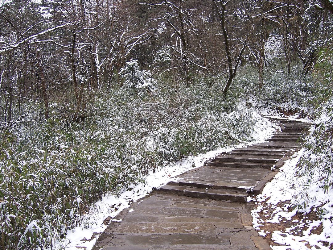 Escalier de pierre enneigé montant en lacets dans la forêt de conifères du mont Emei, marches irrégulières bordées d'une rambarde de béton imitant le bois