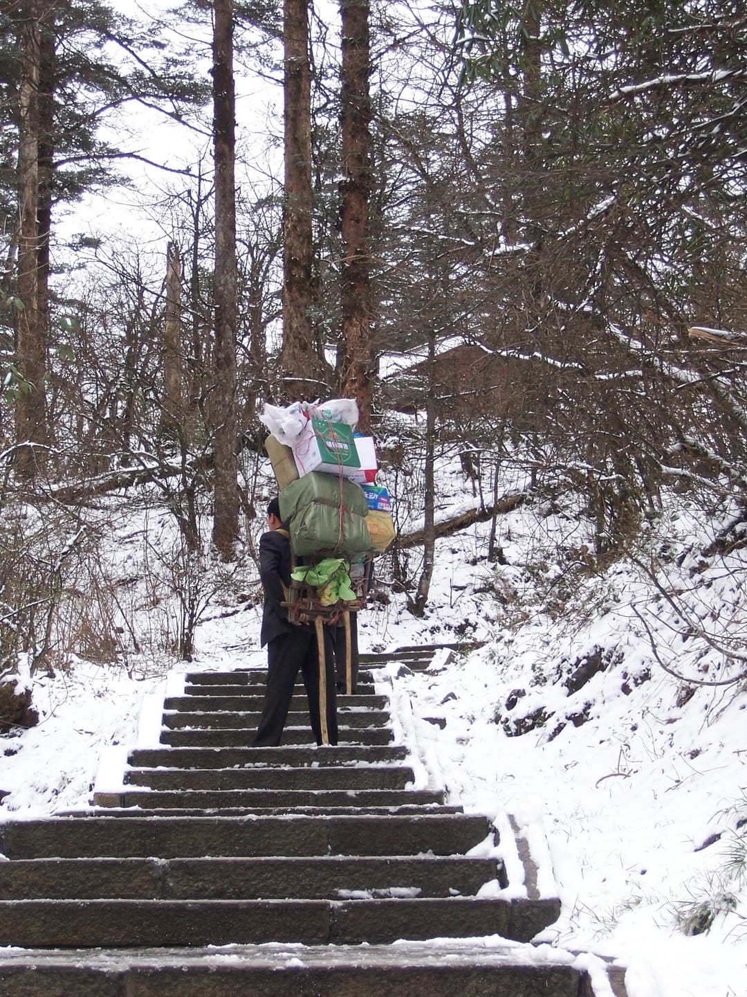 Porteur chinois montant un escalier de pierre du mont Emei avec une palanche de bambou chargée de caisses sur l'épaule, dans une forêt humide