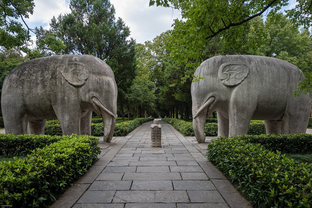 Deux éléphants de pierre monumentaux encadrant l'allée dallée de la voie sacrée du mausolée Xiaoling, sous les arbres