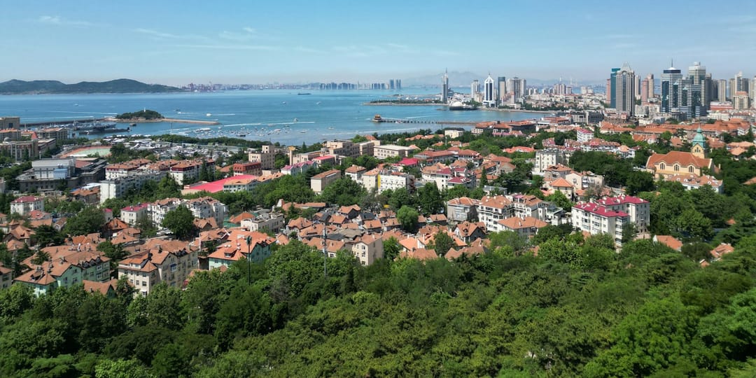 Qingdao vue depuis une hauteur boisée : au premier plan un quartier dense de maisons aux toits de tuiles rouges entourées d'arbres, au milieu la baie avec une longue jetée qui s'avance dans l'eau, et à droite les tours de verre du quartier moderne le long du rivage