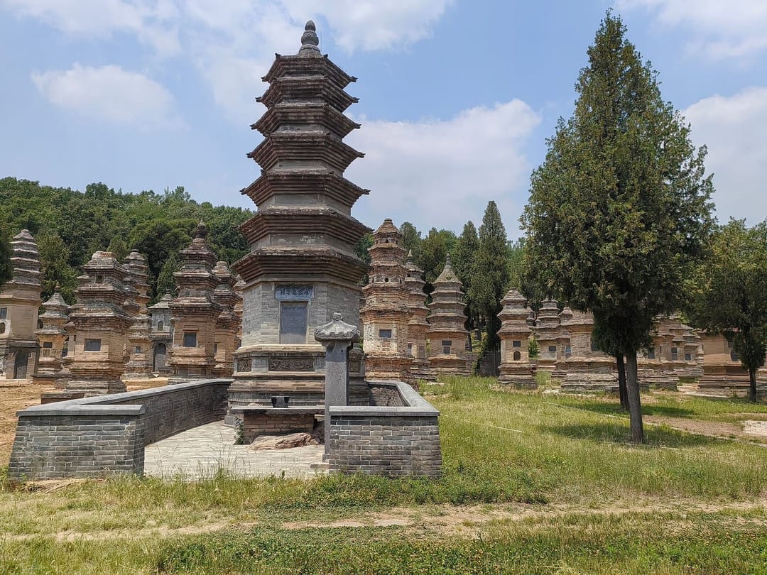 La forêt de pagodes de Shaolin : des dizaines de stupas funéraires en brique aux toits étagés, dispersés dans l'herbe entre des cyprès, l'un d'eux nettement plus haut que les autres au premier plan